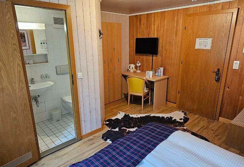 Номер Basic, Alpina Boutique Hotel Ringgenberg   Adults Only !