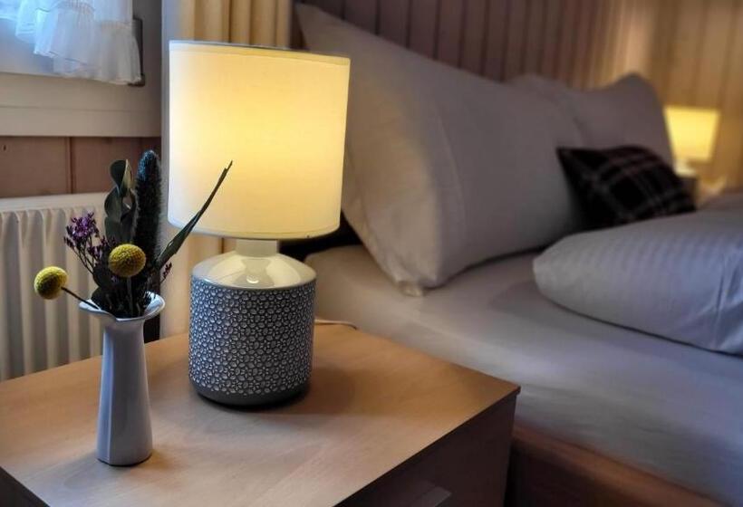 Номер Стандарт Вид на Горы, Alpina Boutique Hotel Ringgenberg   Adults Only !