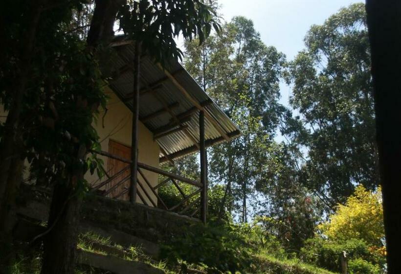 اتاق استاندارد با چشم‌انداز دریاچه, Amasiko Homestay Lake Bunyonyi
