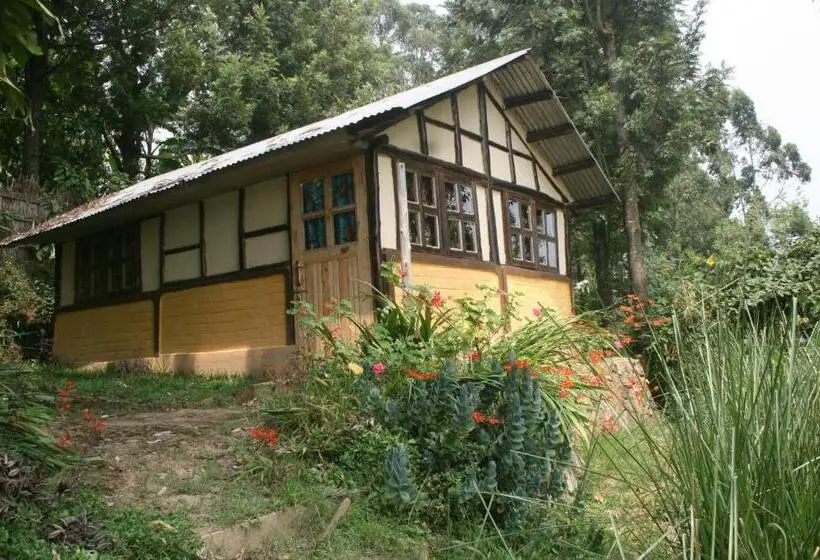 اتاق خانوادگی, Amasiko Homestay Lake Bunyonyi