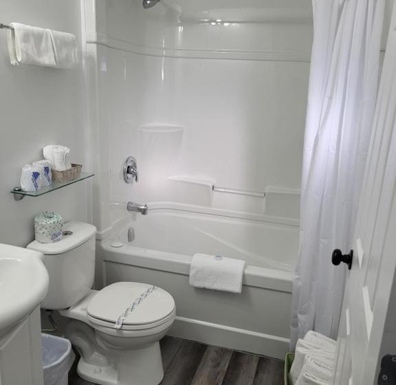 Economy Zimmer, Pines Motel