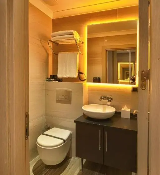 身障者適用スーペリアールーム, Best Western Premier Ottoperla