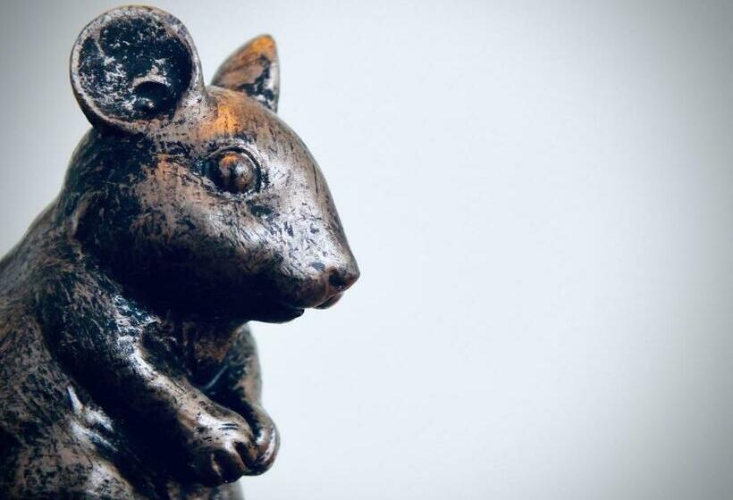 חדר סטנדרט נוף לגינה, The Devonian