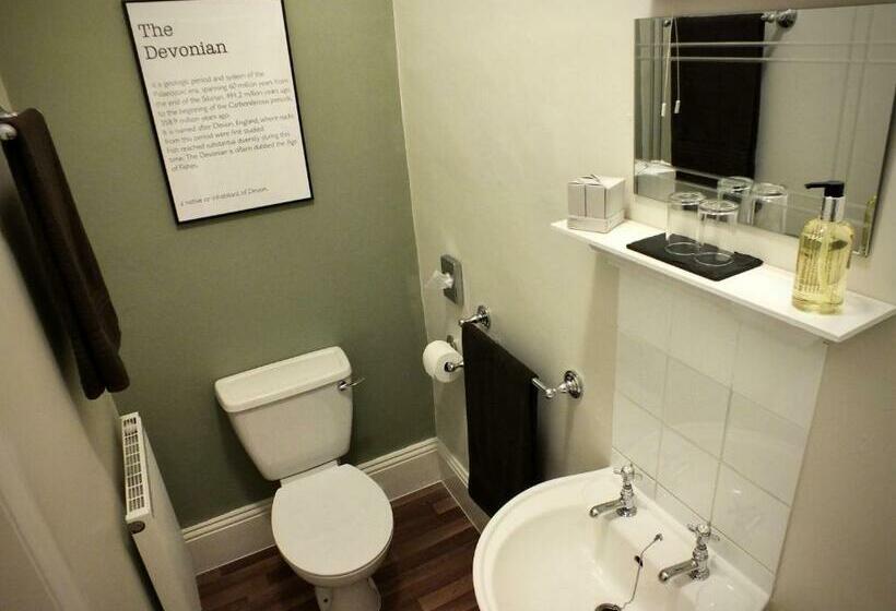 חדר דלוקס, The Devonian