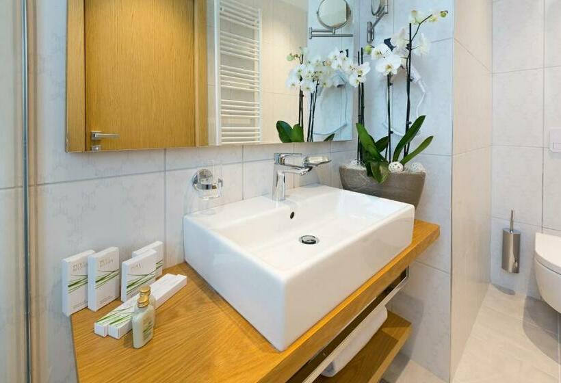 اتاق اجرایی با مشاهده, Boutique Hotel Museum