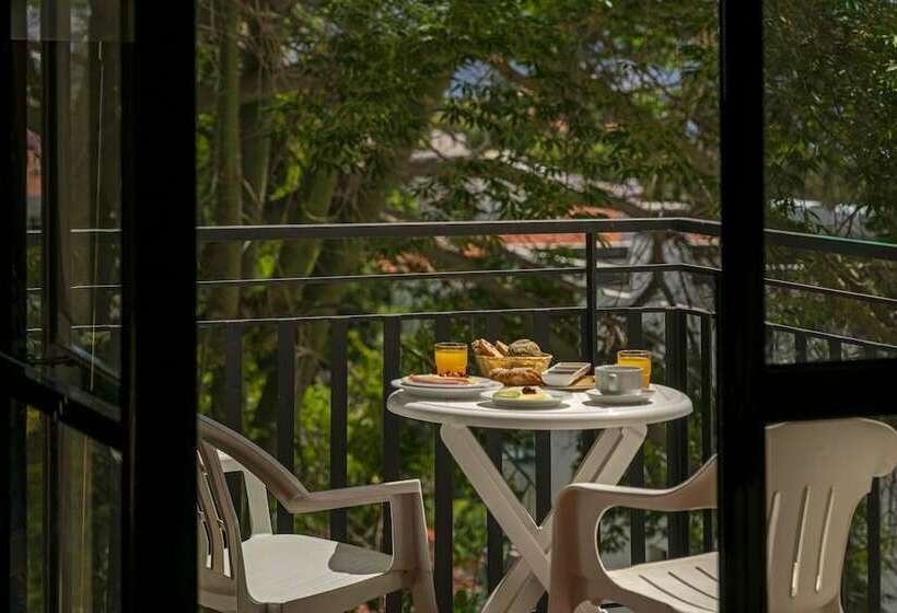 استودیوی استاندارد, Dorisol Mimosa Studio