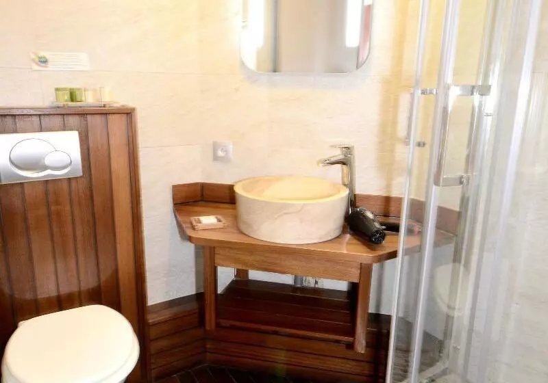 スーペリアールーム, Green Hotels Confort Paris 13