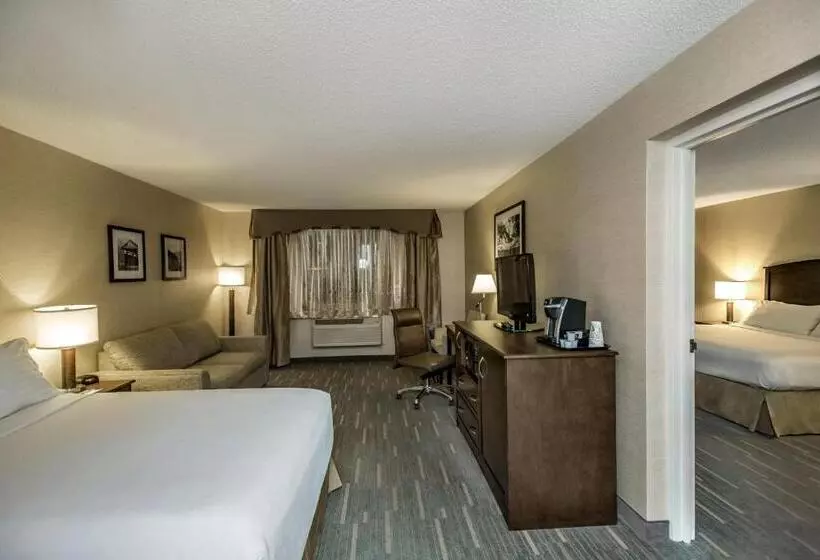 سوئیت با تخت بزرگ, Holiday Inn Lethbridge, An Ihg