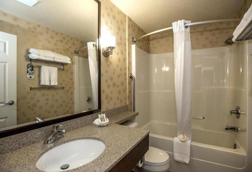 جناح سرير كينج, Holiday Inn Lethbridge, An Ihg