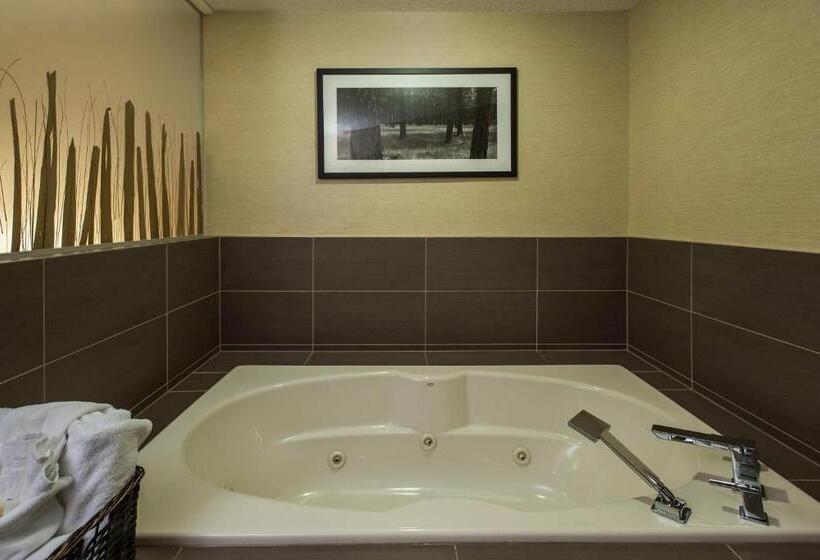 جناح سرير كينج, Holiday Inn Lethbridge, An Ihg