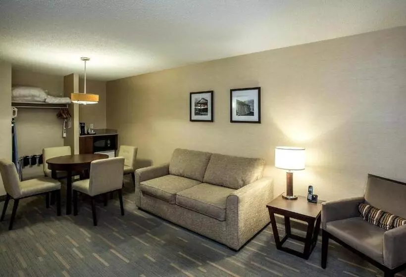 سوئیت با چشم‌انداز, Holiday Inn Lethbridge, An Ihg