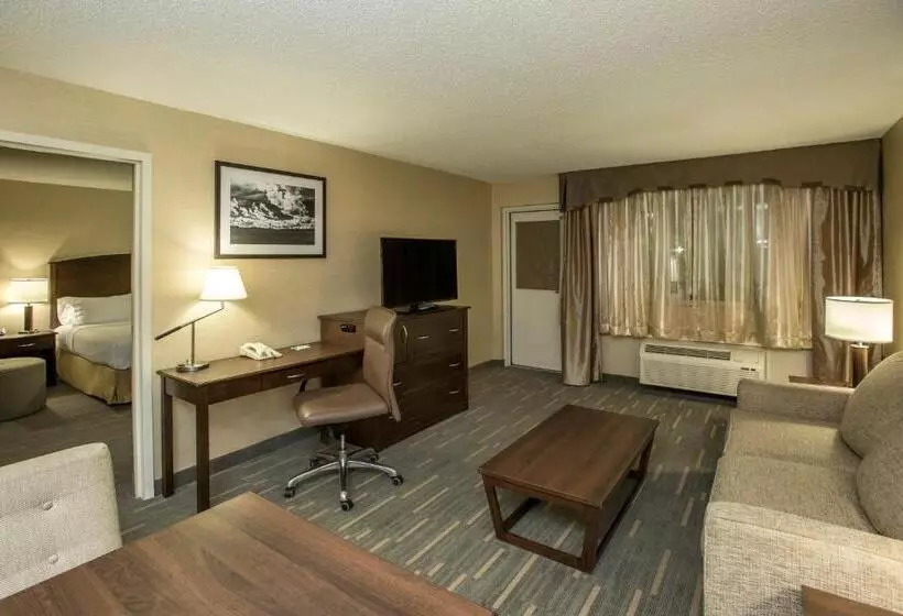سوئیت با چشم‌انداز, Holiday Inn Lethbridge, An Ihg