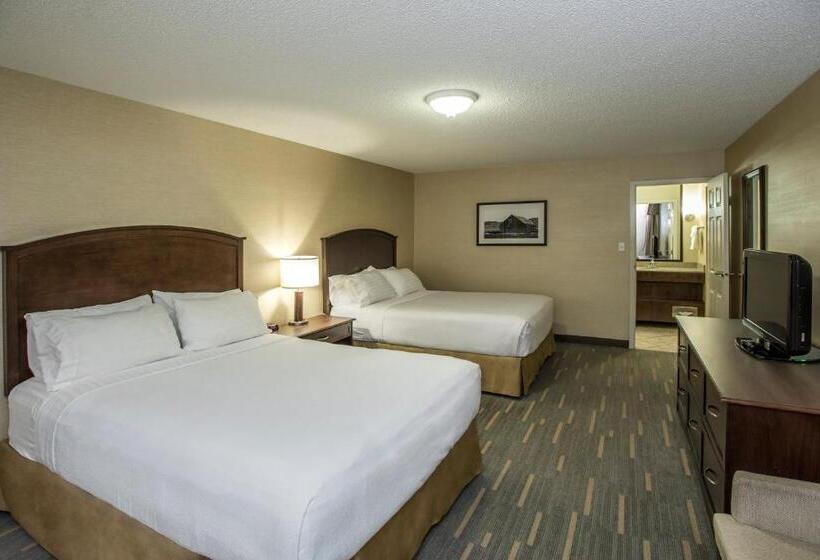 جناح ذو إطلالة, Holiday Inn Lethbridge, An Ihg
