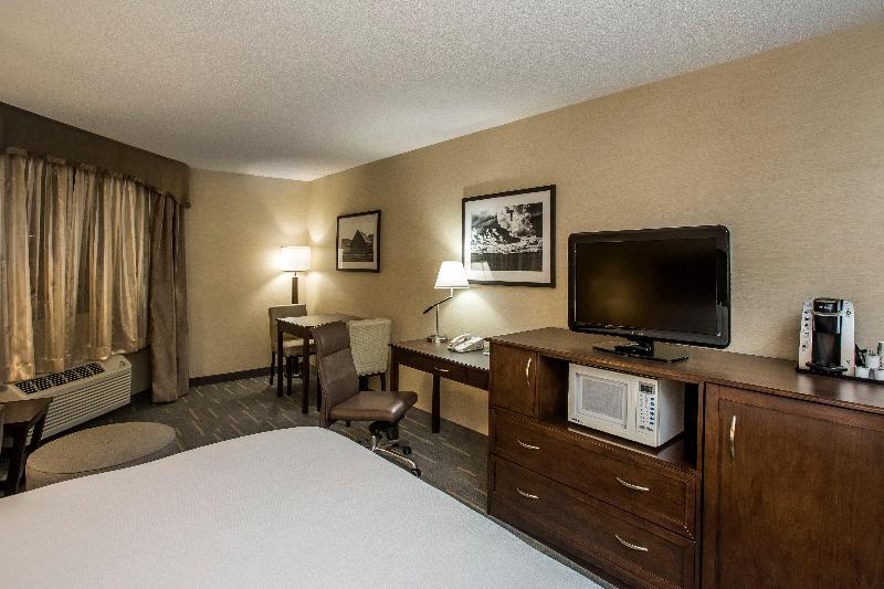 キングサイズベッドのスタンダードルーム, Holiday Inn Lethbridge, An Ihg