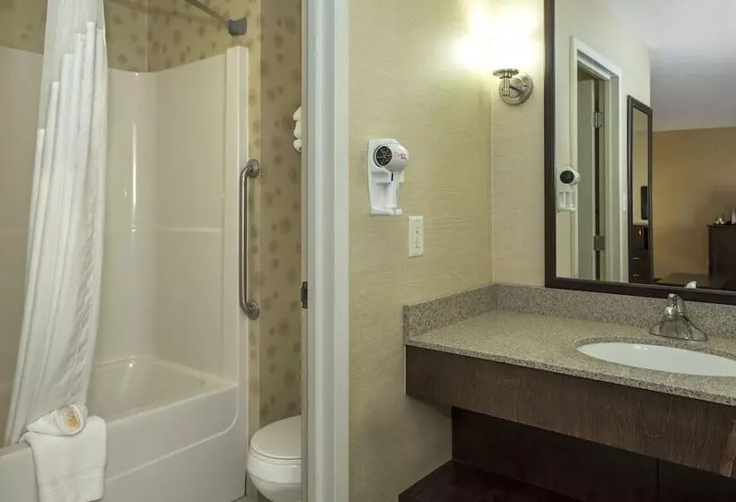 اتاق استاندارد, Holiday Inn Lethbridge, An Ihg