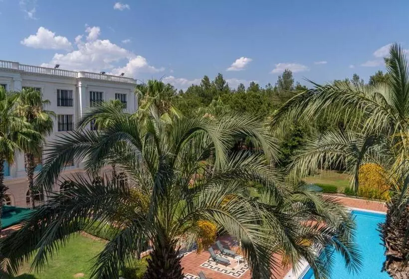 اتاق استاندارد, IC Hotels Airport