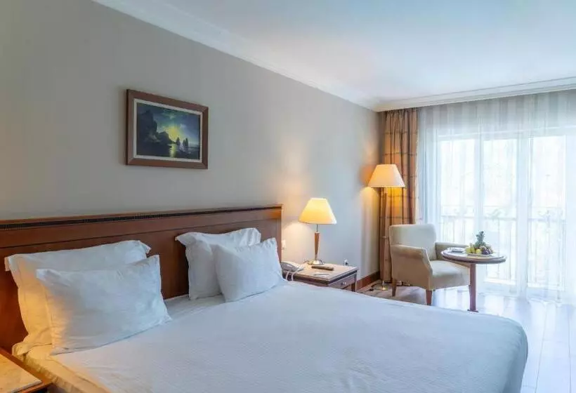 اتاق استاندارد یک نفره, IC Hotels Airport