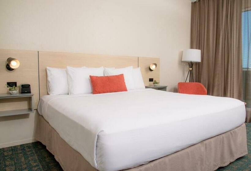 غرفة ديلوكس سرير كينج, Verdanza