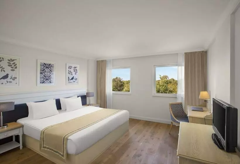 Senior Suite