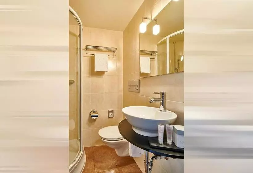 スタンダードシングルルーム, Romantik Hotel Mont Blanc Au Lac