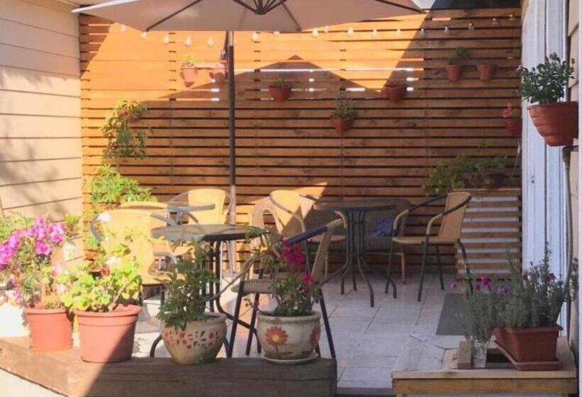 آپارتمان سوپریور 1 خوابه, Apart Hotel Don Domingo