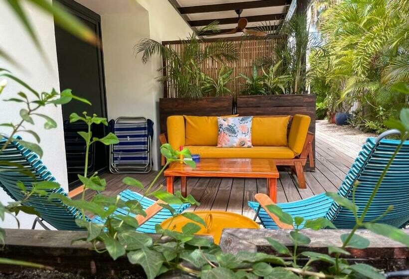 اتاق لوکس با تخت بزرگ, B&b Kas Chuchubi