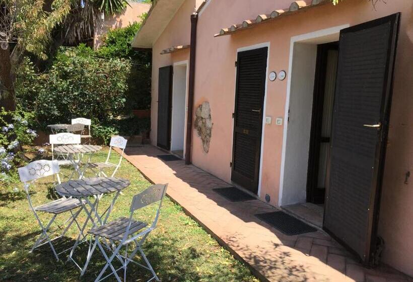 חדר אקונומי, Affittacamere Anselmi Sauro