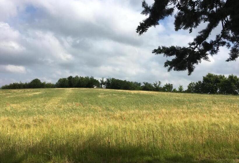 منزل غرفة نوم واحدة, Casa Vacanze Soleluna