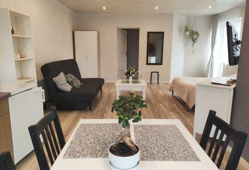 آپارتمان سوپریور 1 خوابه, Family House