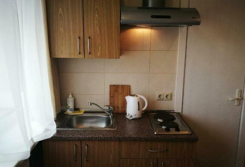 آپارتمان 1 خوابه با بالکن, Family House