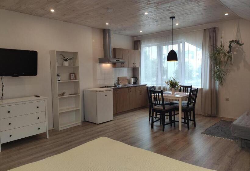 آپارتمان 1 خوابه, Family House