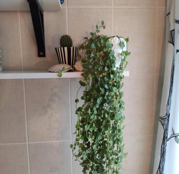 آپارتمان 1 خوابه با چشم‌انداز باغ, Family House