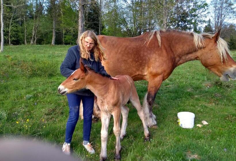 غرفة قياسية ثلاثية, Ferme Du Haut Barba