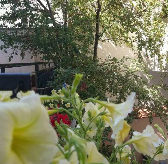 آپارتمان 1 خوابه, Zani Hostel