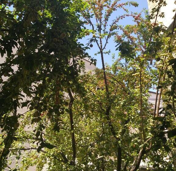 آپارتمان 1 خوابه, Zani Hostel