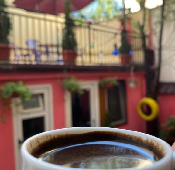 استودیو خانوادگی, Zani Hostel