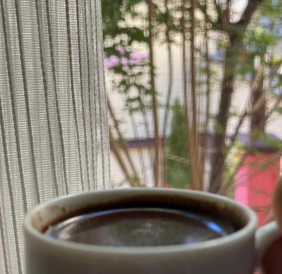 اتاق استاندارد سه تخته با چشمانداز باغ, Zani Hostel