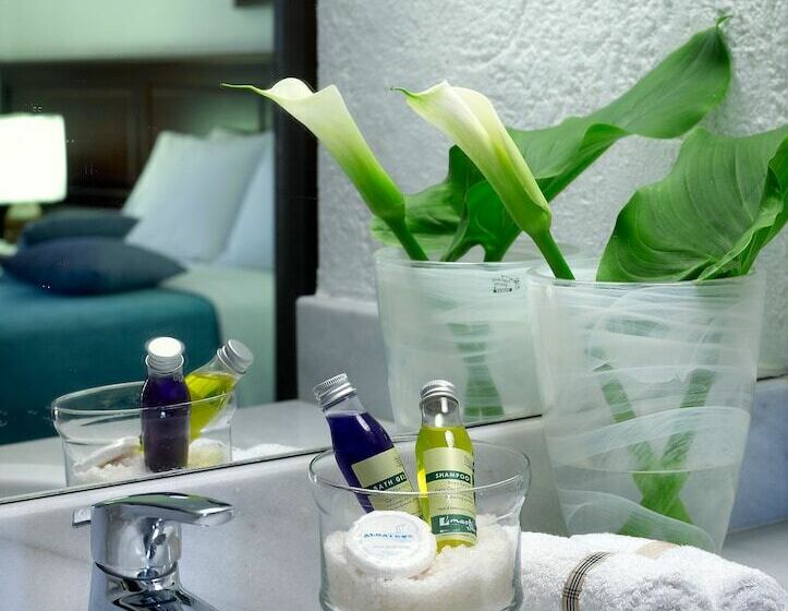 חדר סטנדרט, Albatros Spa & Resort