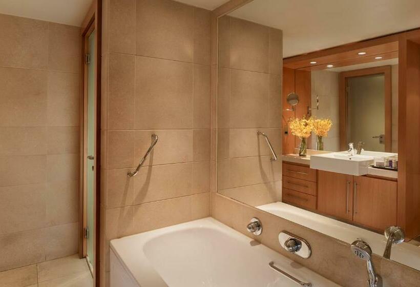 套房, Park Plaza London Riverbank