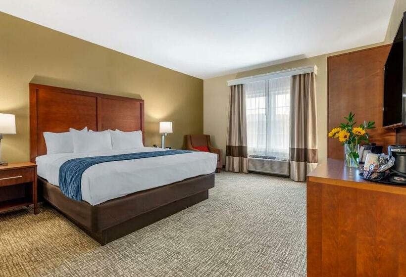 Quarto Estandar Cama King, Comfort Inn
