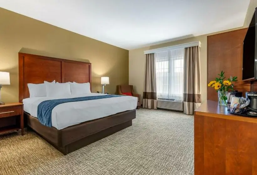 キングサイズベッドのスタンダードルーム, Comfort Inn