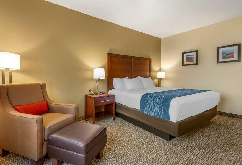 Quarto Estandar Cama King para Deficientes Físicos, Comfort Inn