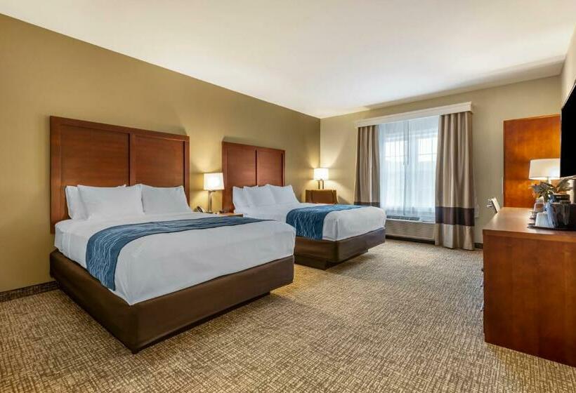 2ダブルベッドのスタンダードルーム, Comfort Inn