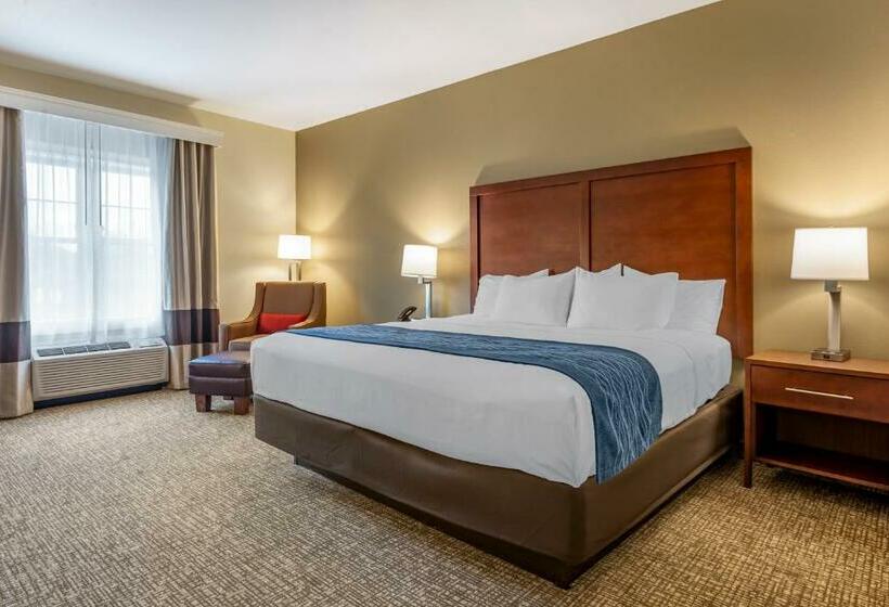 キングサイズベッドのスタンダードルーム, Comfort Inn