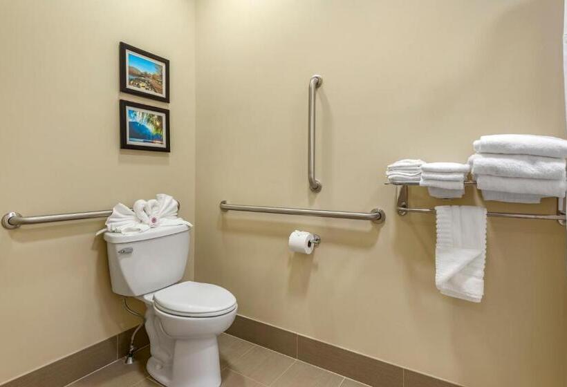 身障者適用キングサイズベッドルーム, Comfort Inn