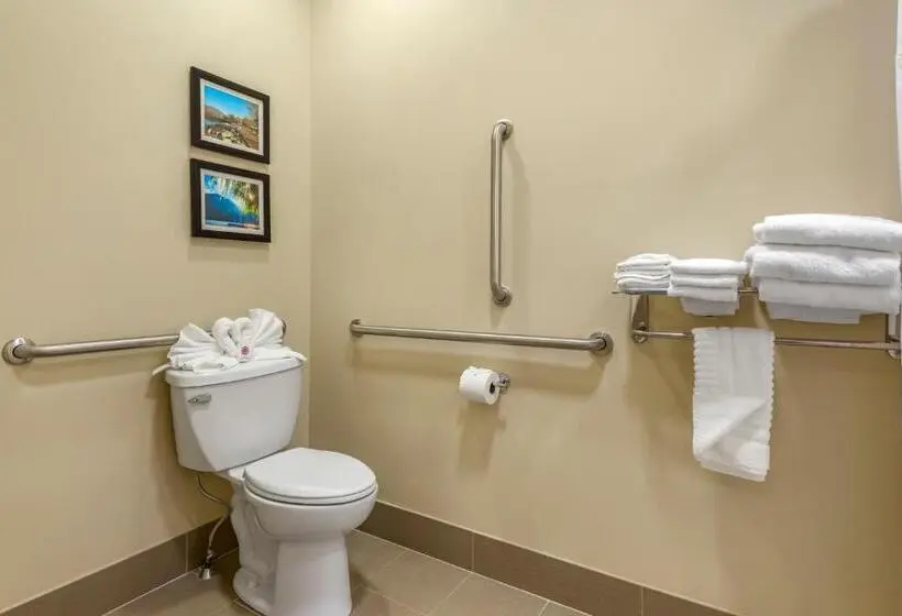 身障者適用キングサイズベッドルーム, Comfort Inn