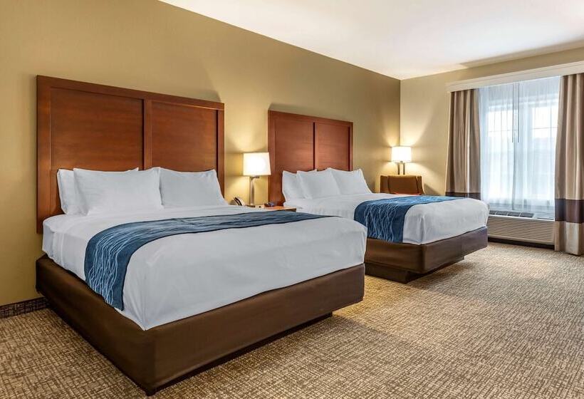 Quarto Estandar 2 Camas Casal, Comfort Inn