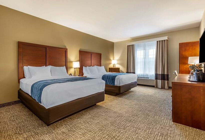Quarto Estandar 2 Camas Casal, Comfort Inn