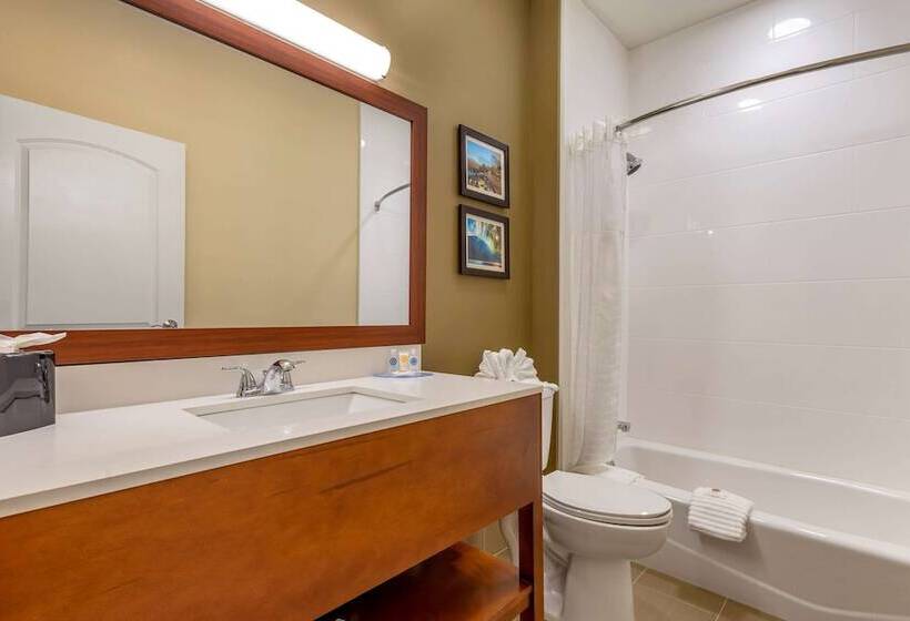 2ダブルベッドのスタンダードルーム, Comfort Inn