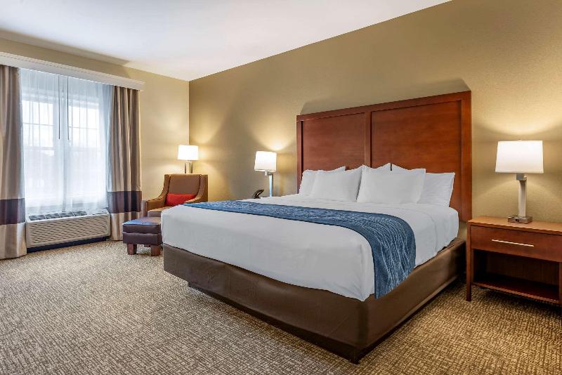 キングサイズベッドのスタンダードルーム, Comfort Inn